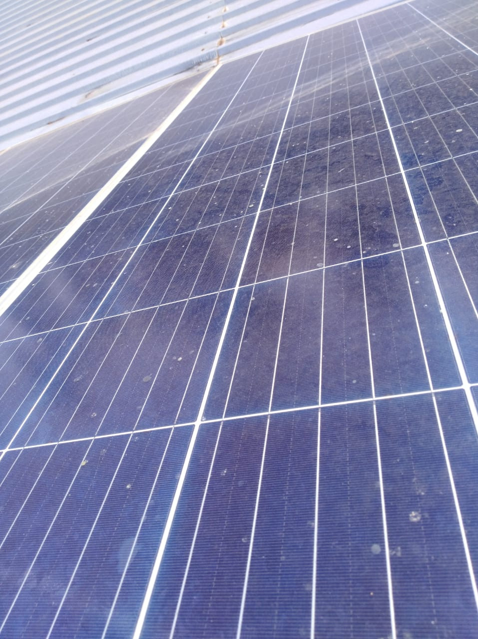 ALENZA GENERAL TRADING